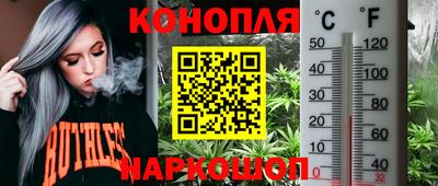 гидропоника Коммунар