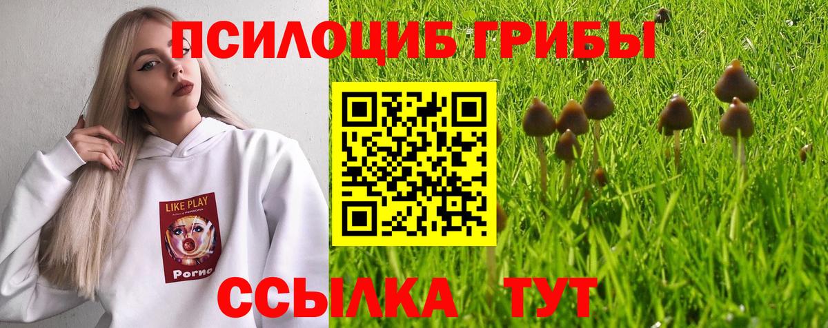 Тюмень  Галлюциногенные грибы мухоморы  Вход с VPN 