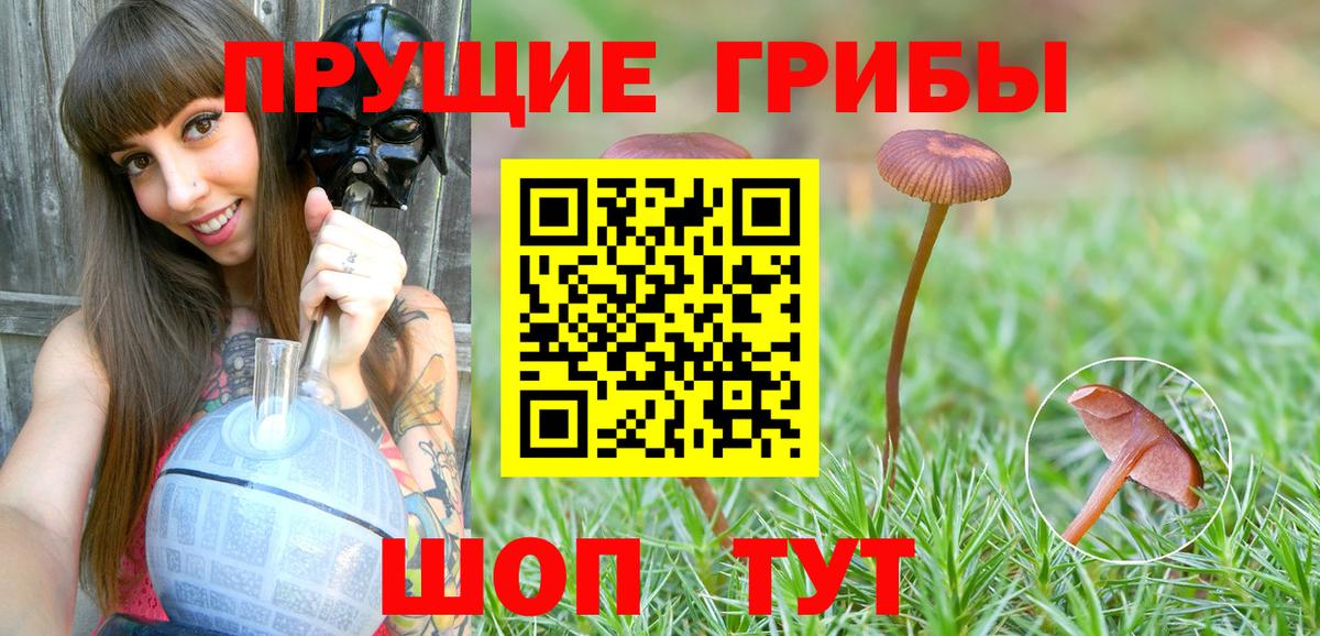 Галлюциногенные грибы мицелий Тюмень